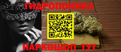 a pvp Кимры