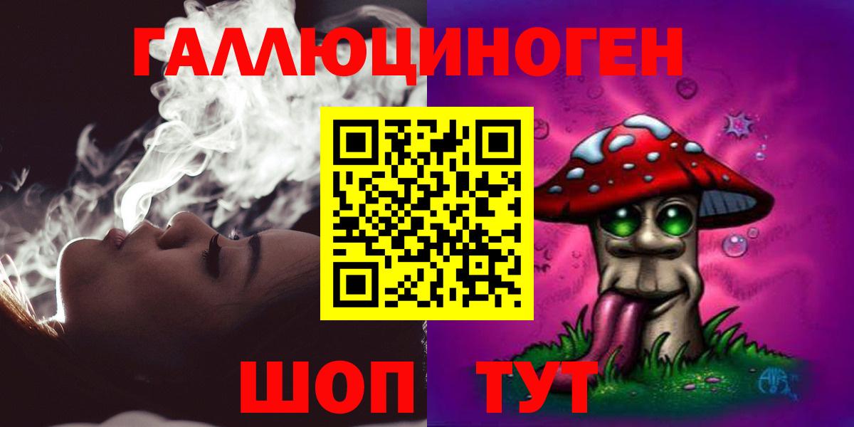 Красногорск  Псилоцибиновые грибы Psilocybe  Вход с VPN 